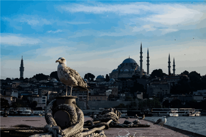 Bosphorus Cruise
